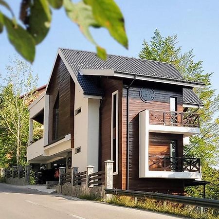 Casa Larisa Antonia Apartments Синая Экстерьер фото
