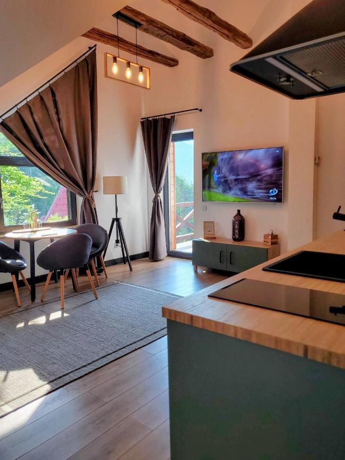 Casa Larisa Antonia Apartments Синая Экстерьер фото