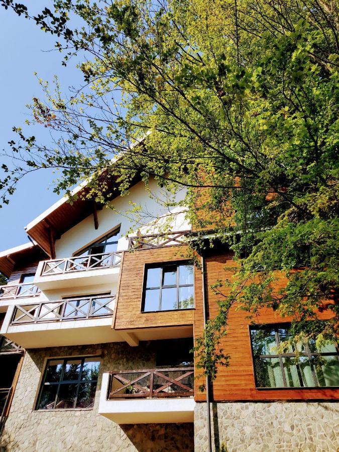 Casa Larisa Antonia Apartments Синая Экстерьер фото