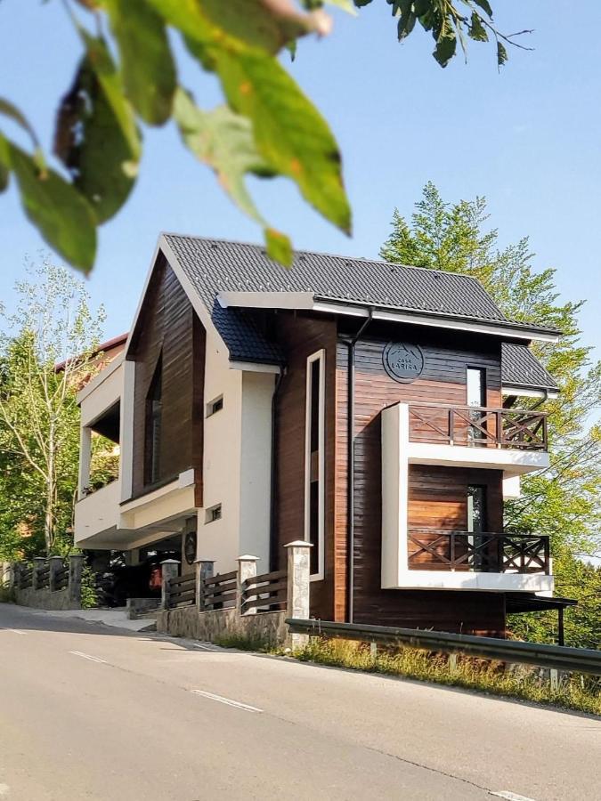 Casa Larisa Antonia Apartments Синая Экстерьер фото